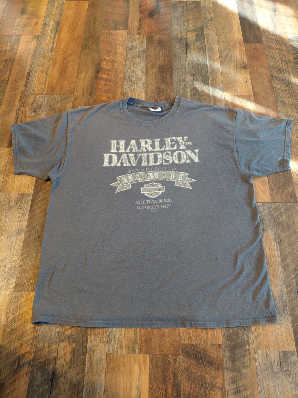 Harley-Davidson Men's Gray Logo T-Shirt